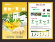 香蕉催熟水果宣传单页图片素材