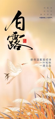 白露节气广告