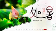 二十四节气处暑展板