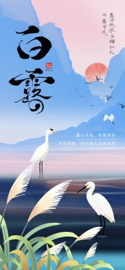 彩绘白露节气广告