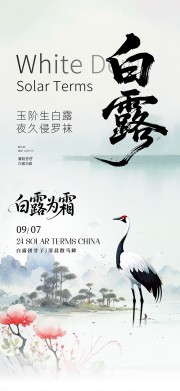 白露二十四节气海报