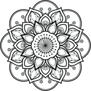 对称莲花装饰花纹矢量