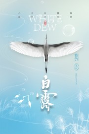 清新唯美白露节气宣传海报