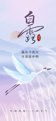 简约渐变色白露节气宣传海报