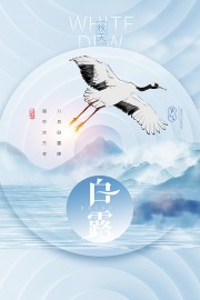 二十四节气白露广告