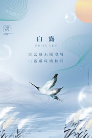 山水意境中国传统节气白露海报