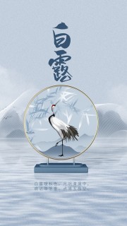 中国风白露节气广告