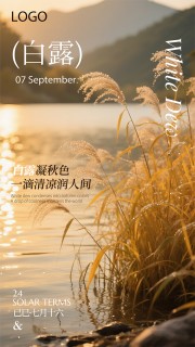 白露节气图片素材下载