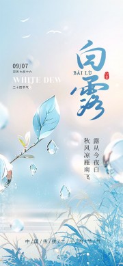 二十四节气白露广告