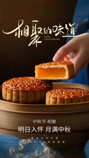 明月入怀月满中秋宣传海报