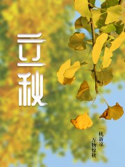 银杏立秋节气海报