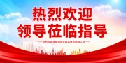 热烈欢迎领导莅临指导展板