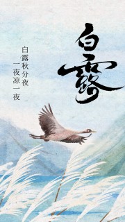 简约白露节气广告