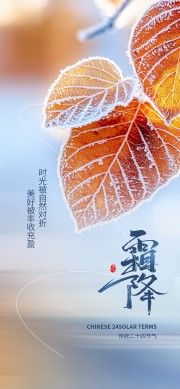 摄影风霜降节气借势营销海报