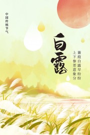 白露节气图片素材下载