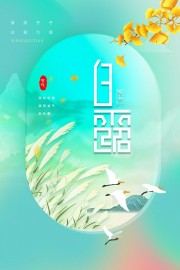 白露节气广告模板