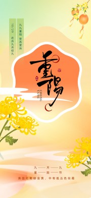 九九重阳节菊花橘色插画海报