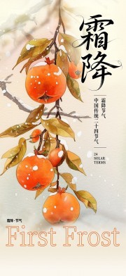 大气霜降二十四节气海报