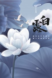 水墨唯美风二十四节气白露广告