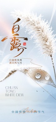 秋季白露节气手机宣传海报