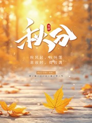 传统二十四节气秋分海报
