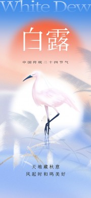 白露节气图片素材下载