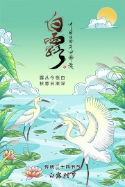简约白露节气广告