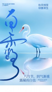 简洁白露节气广告