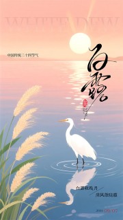 粉色卡通唯美白露节气宣传广告