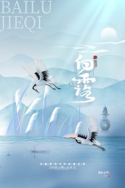 白露节气宣传图片素材