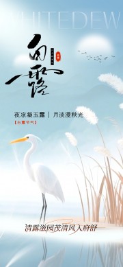 白露节气图片背景素材