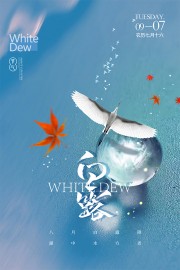 清新简约传统白露节气广告
