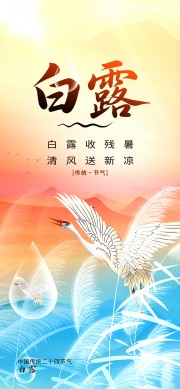 白露节气海报图片模板下载