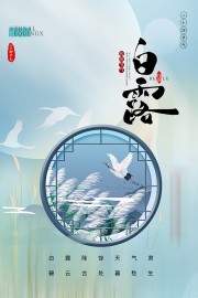 淡雅简约中国传统节气白露海报