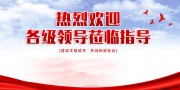 热烈欢迎领导莅临指导展板