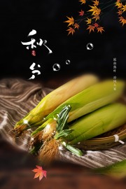 中国传统节气秋分海报