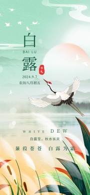 白露节气宣传图片素材