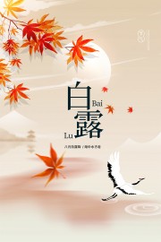 优雅诗意中国传统节气白露海报