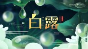白露宣传图片素材下载