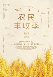 中国农民丰收节广告