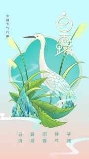 中国传统节气白露广告