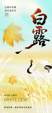 白露节气图片素材下载