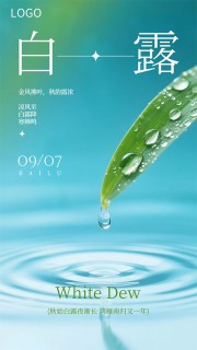 简单白露节气宣传海报