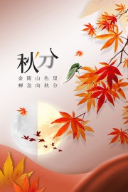 秋分节气金色复古广告