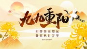 简约大气重阳节宣传海报