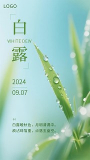 清新唯美白露节气宣传海报