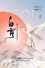 中国传统节气白露海报