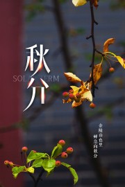 简洁秋分节气广告