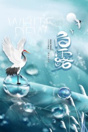水珠白露节气广告图片