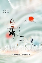 清新白露节气海报